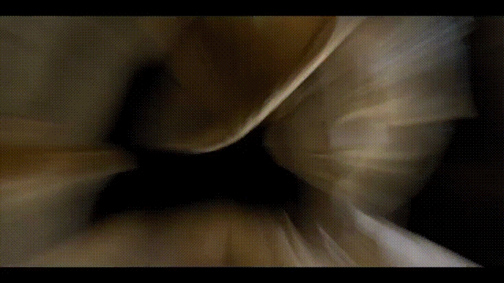 Logo One Piece Netflix Colección One Piece Arabasta